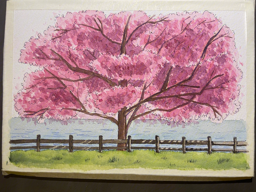 水彩门前樱花树钢笔淡彩