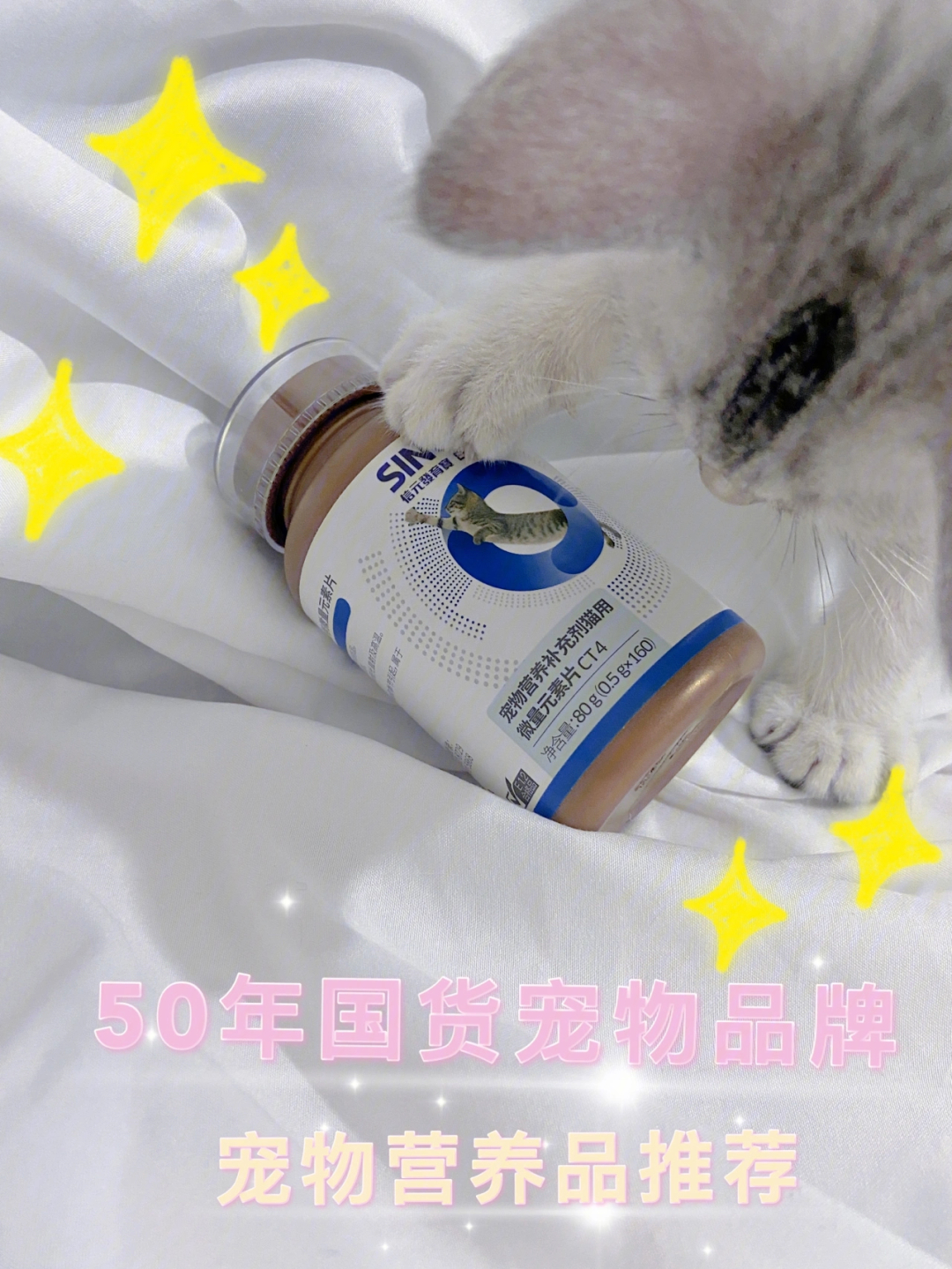 小奶猫首选补充营养信元发育宝
