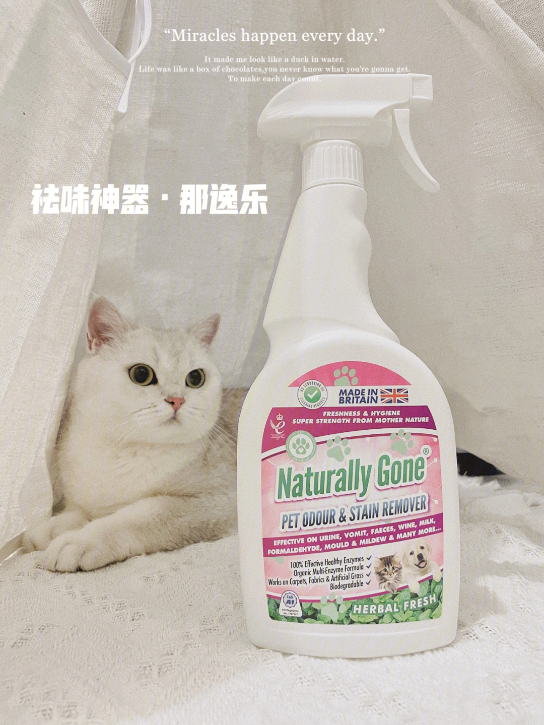 odour plume图片