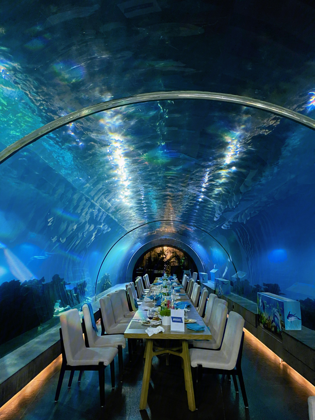 三亚海底隧道餐厅🍴洲际涛餐厅