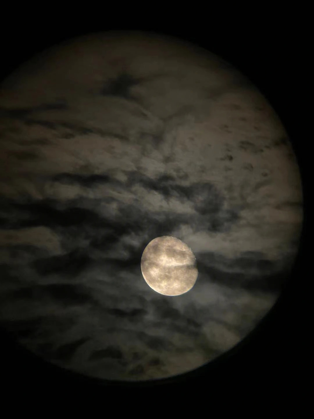 月亮今晚17岁图片