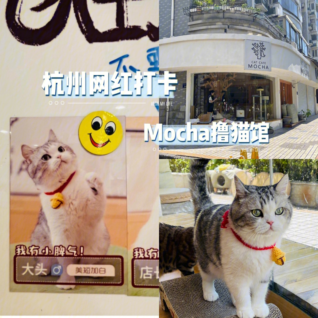 大头猫电影票图片