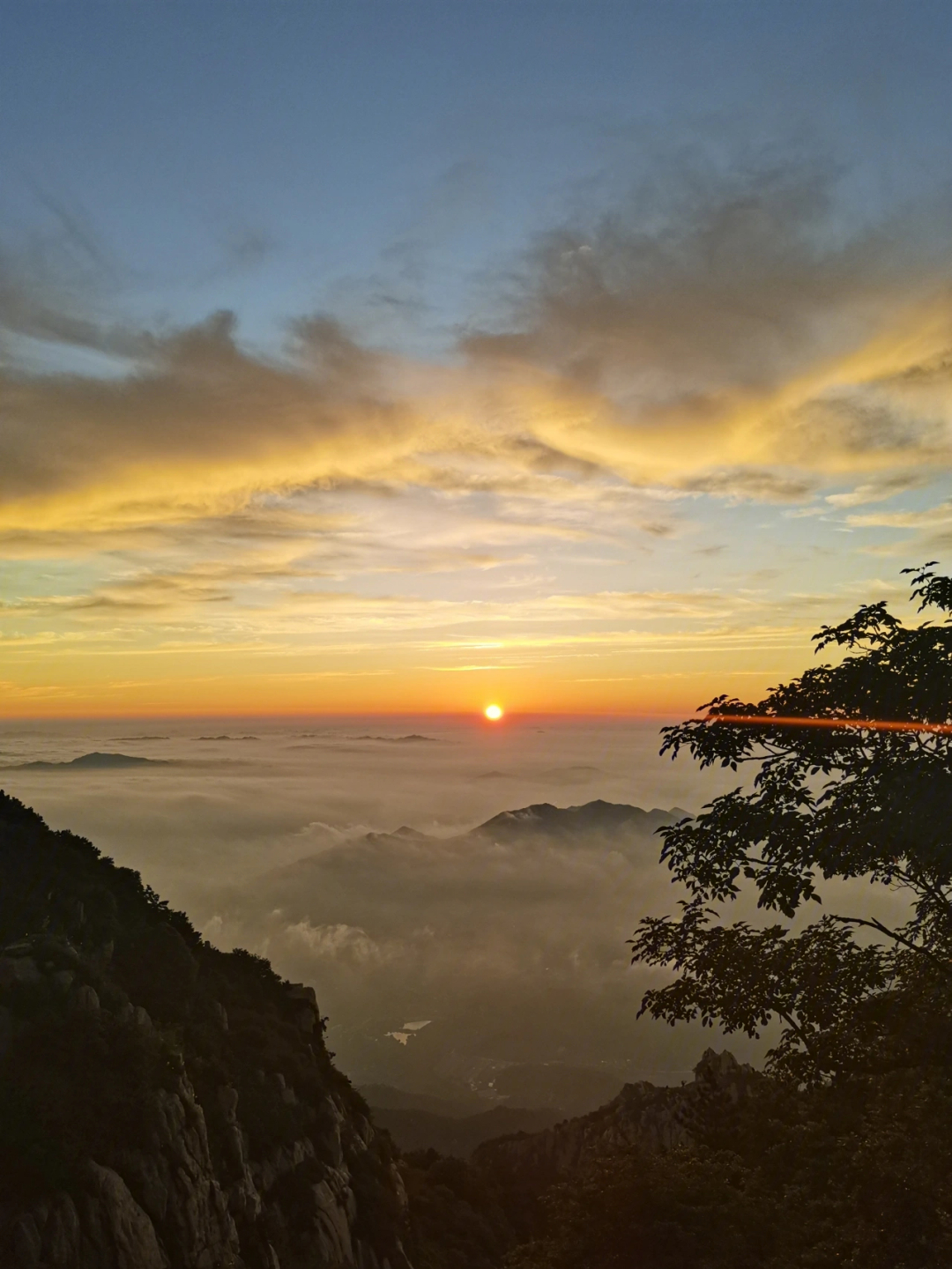 泰山日出酒38度一箱图片