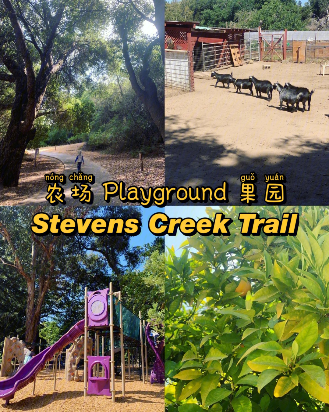 stevenscreektrail农场果园playgrou