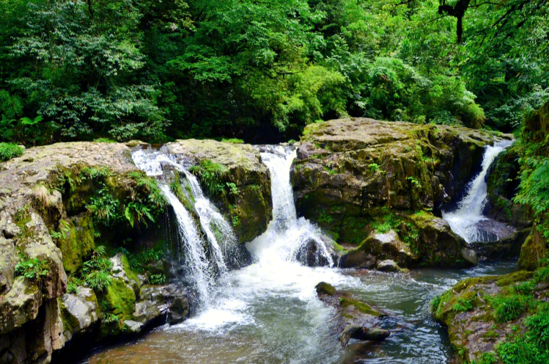 位于雅安市荥经县的龙苍沟森林公园景区,交通比较方便,路都挺好走的.