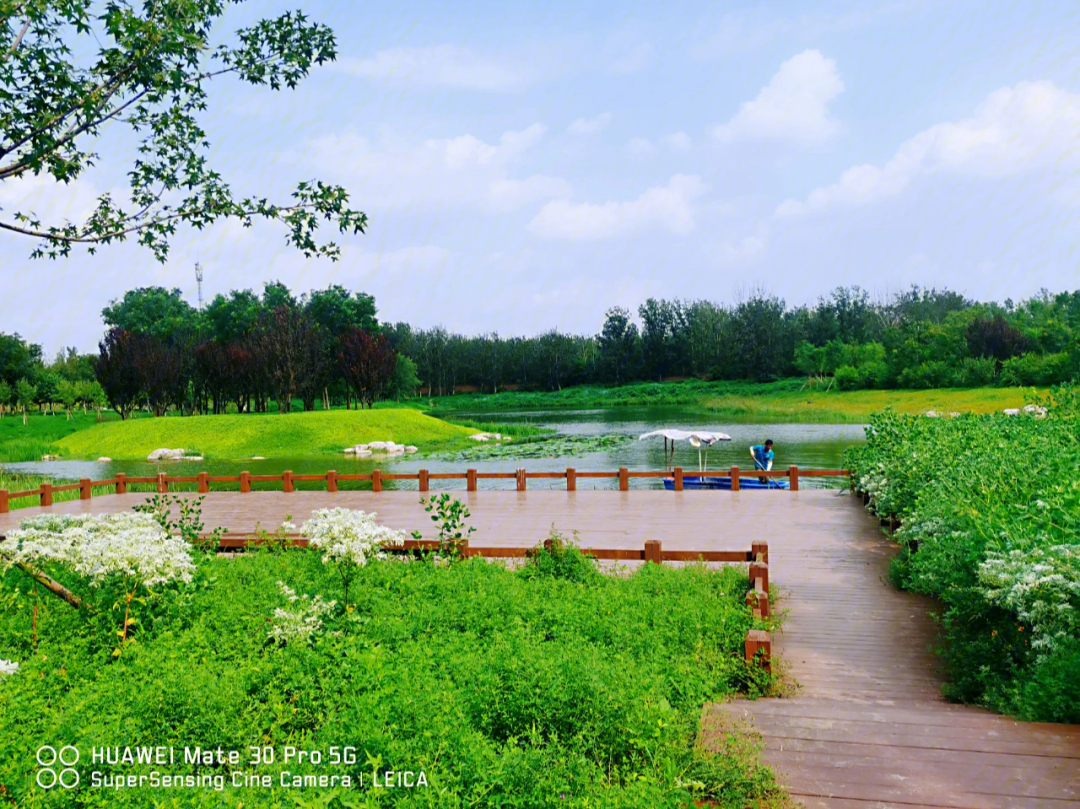 北京南苑森林湿地公园