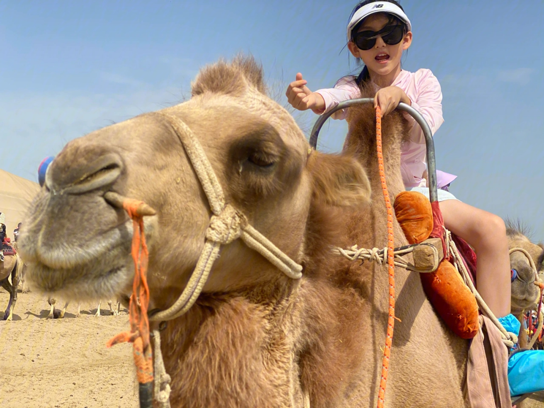 小孩骑骆驼图片