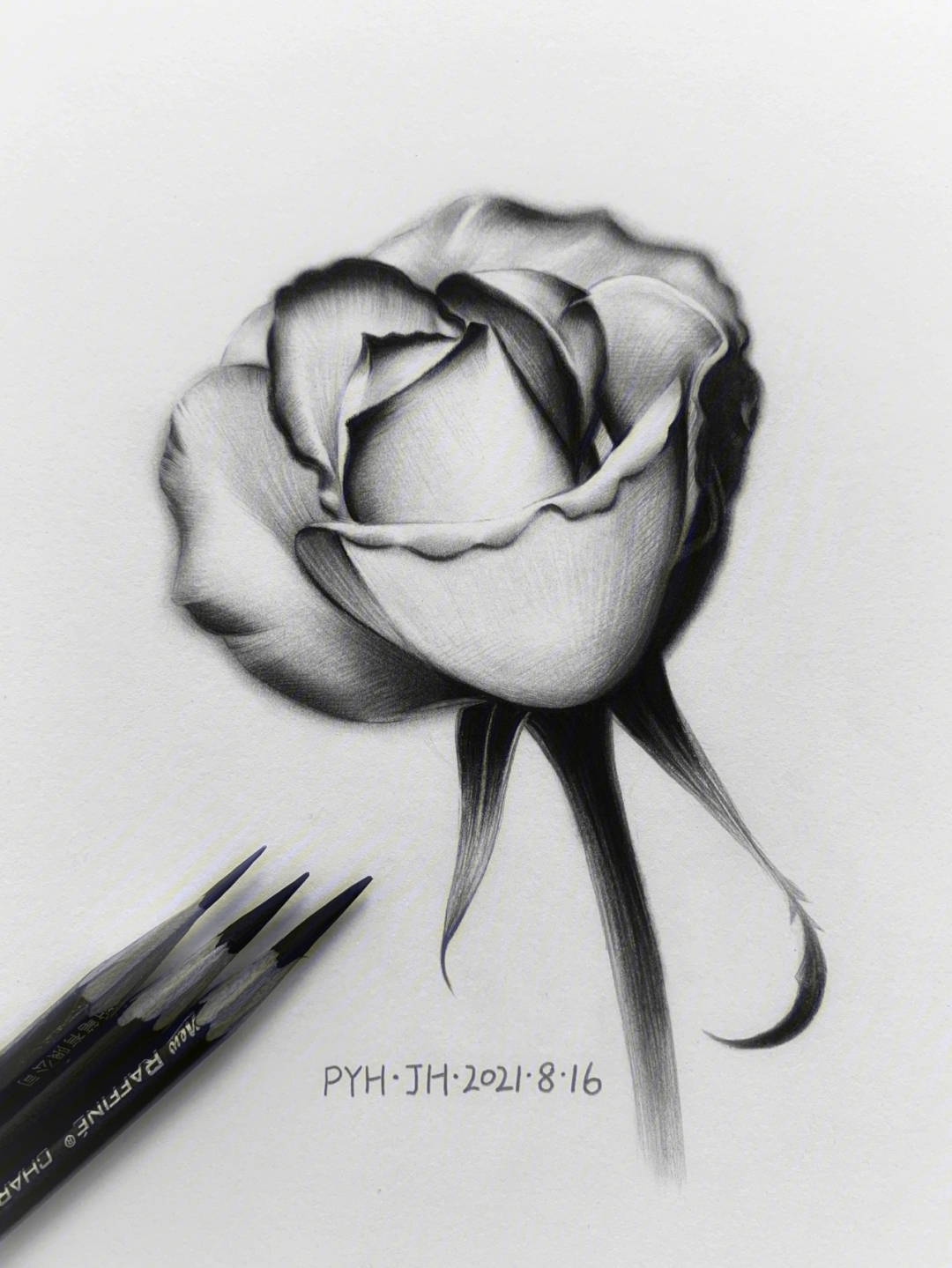 手拿玫瑰花素描图片