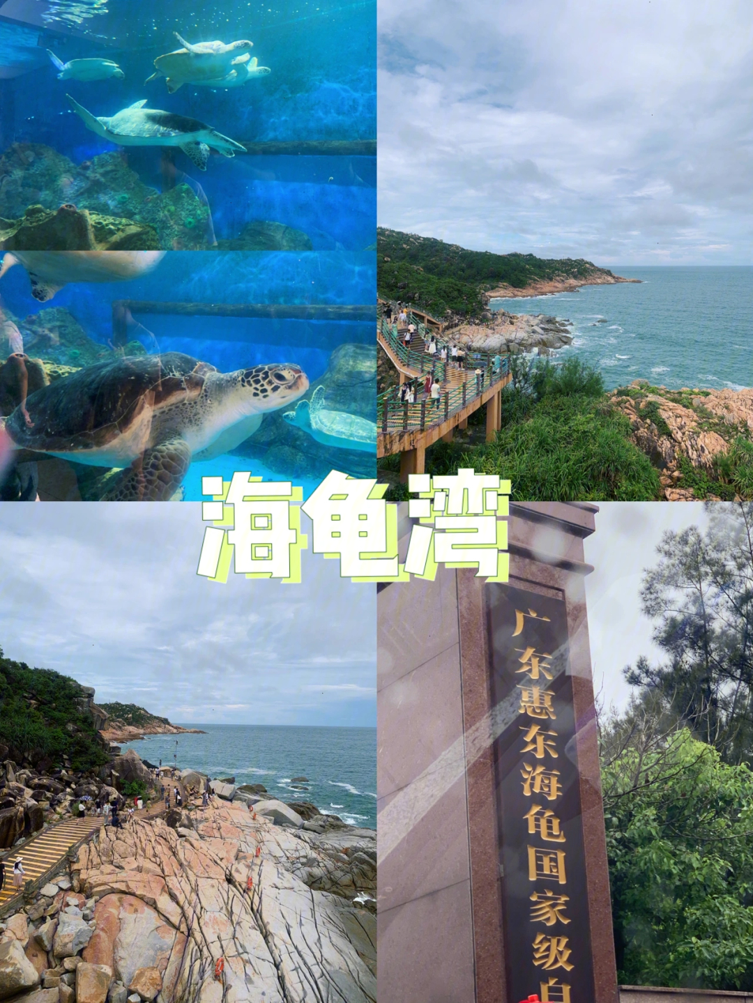 惠州海龟湾地图图片