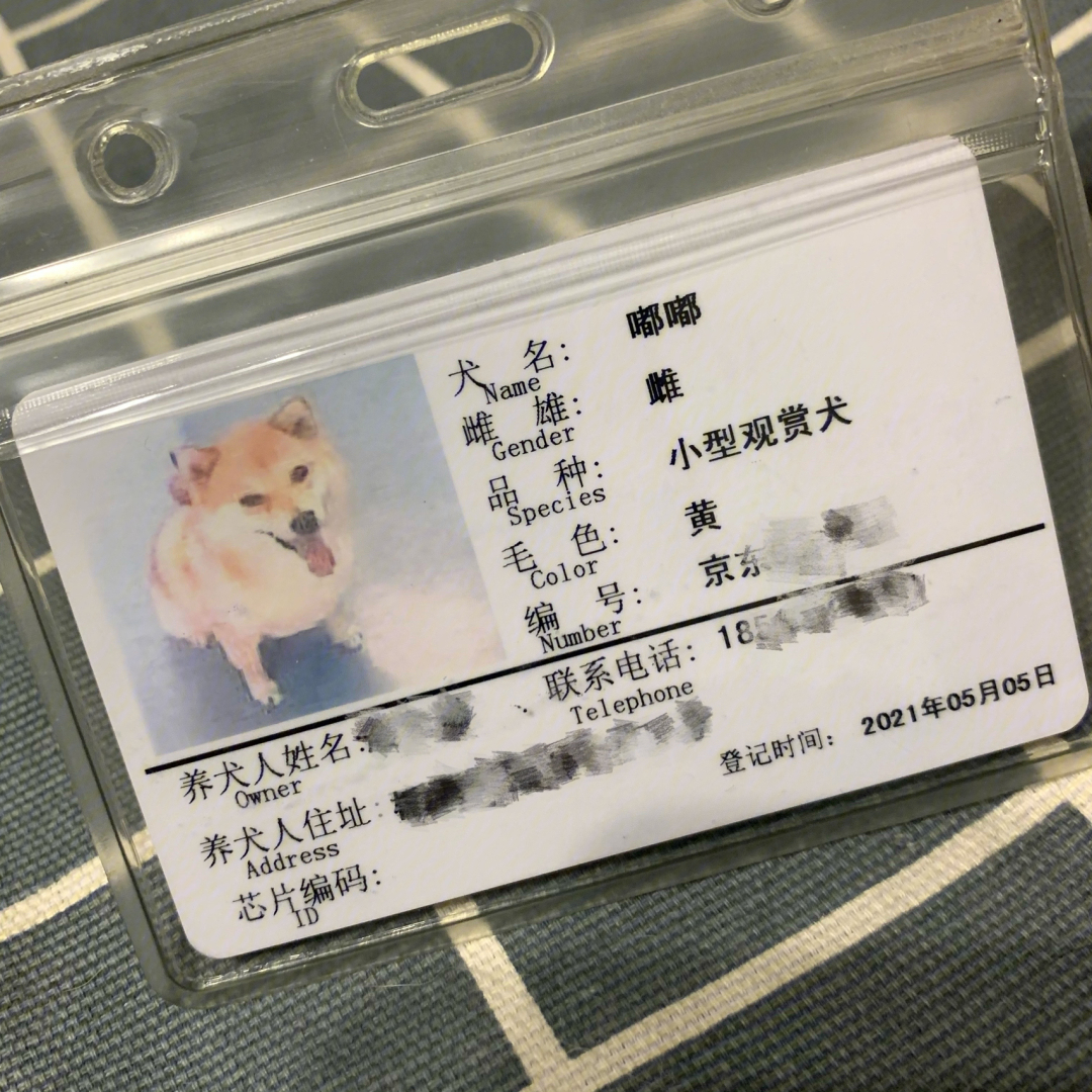 北京办理狗证 东城开始抄狗了 更新2022年检