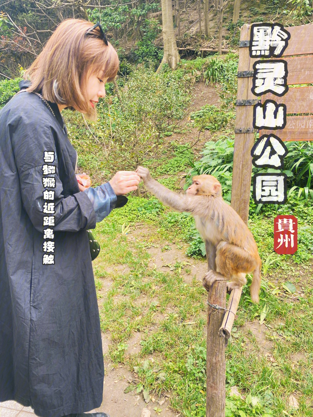 贵州旅游攻略丨来黔灵山72亲密接触猕猴