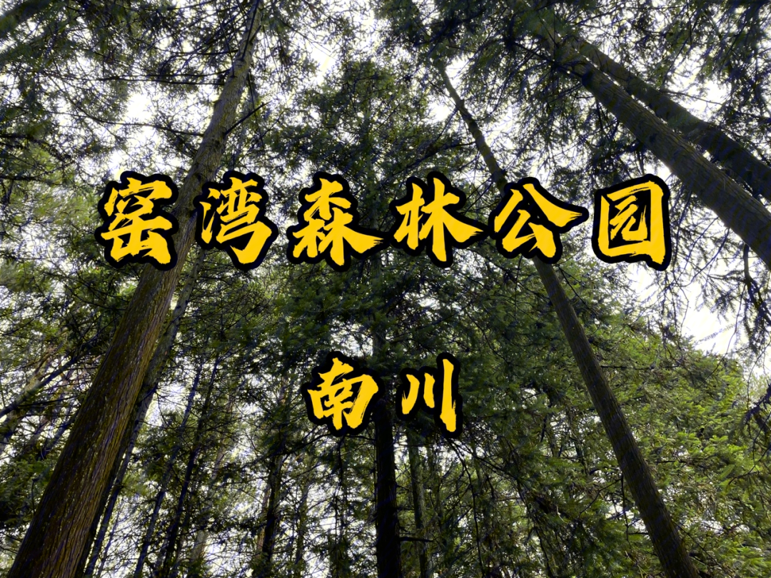 南川窑湾森林公园门票图片
