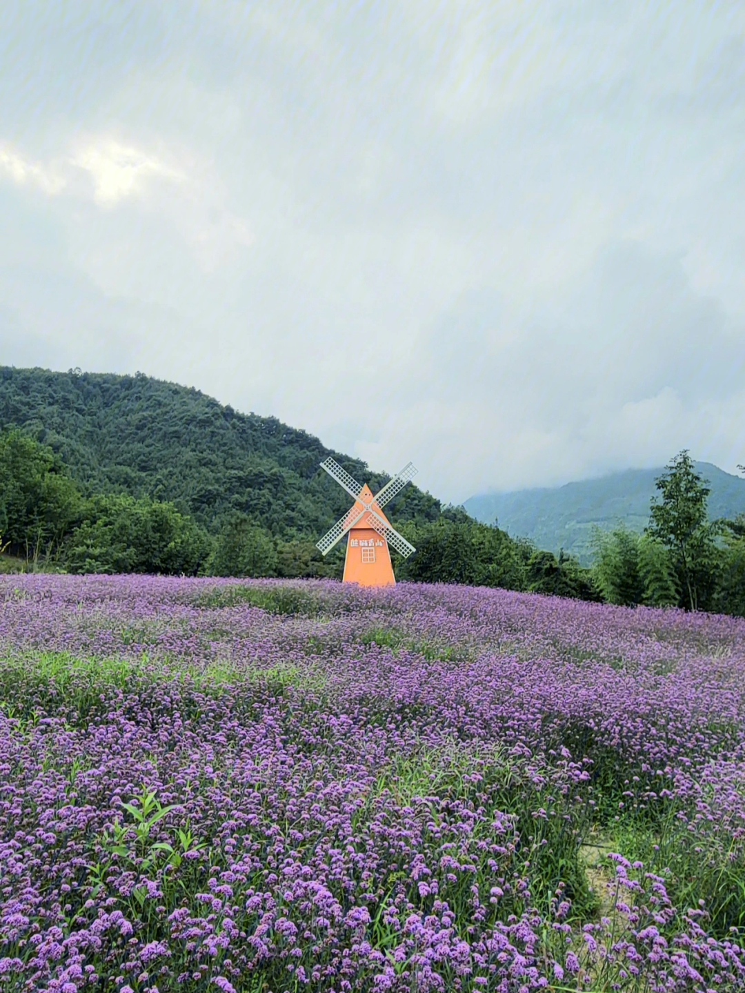 彭州熊猫香山门票图片