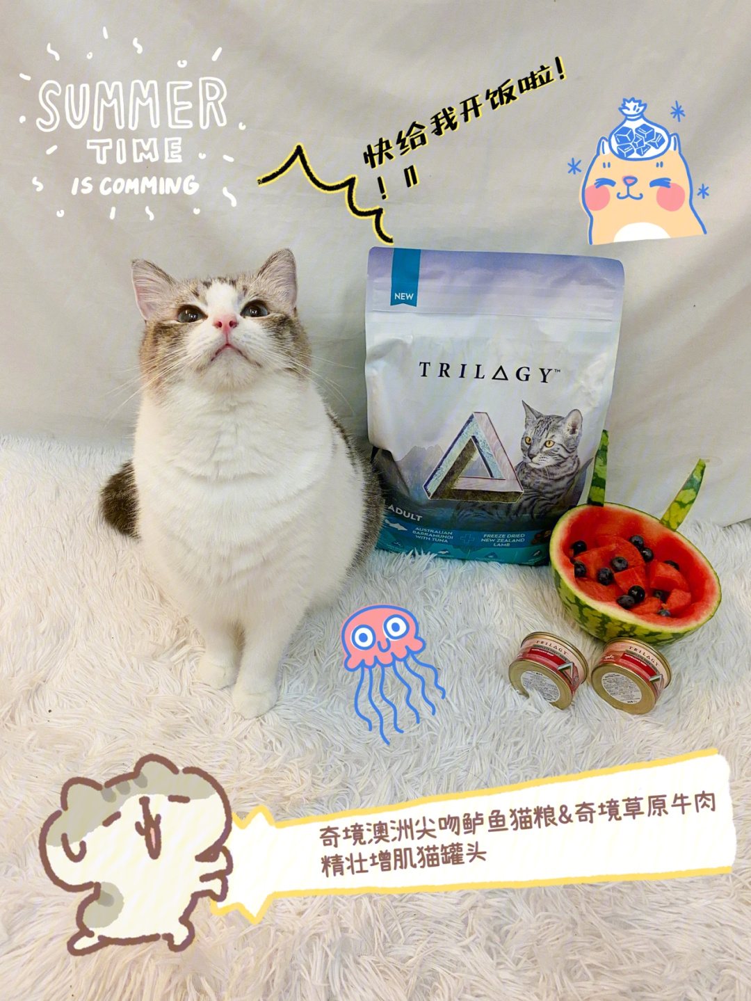 小猫咪愉快夏日吃食trilogy奇境罐头猫粮