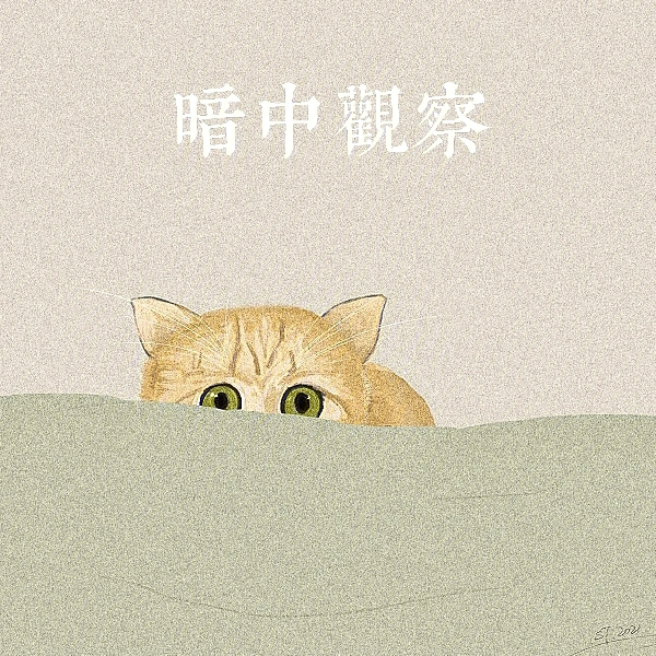 暗中观察