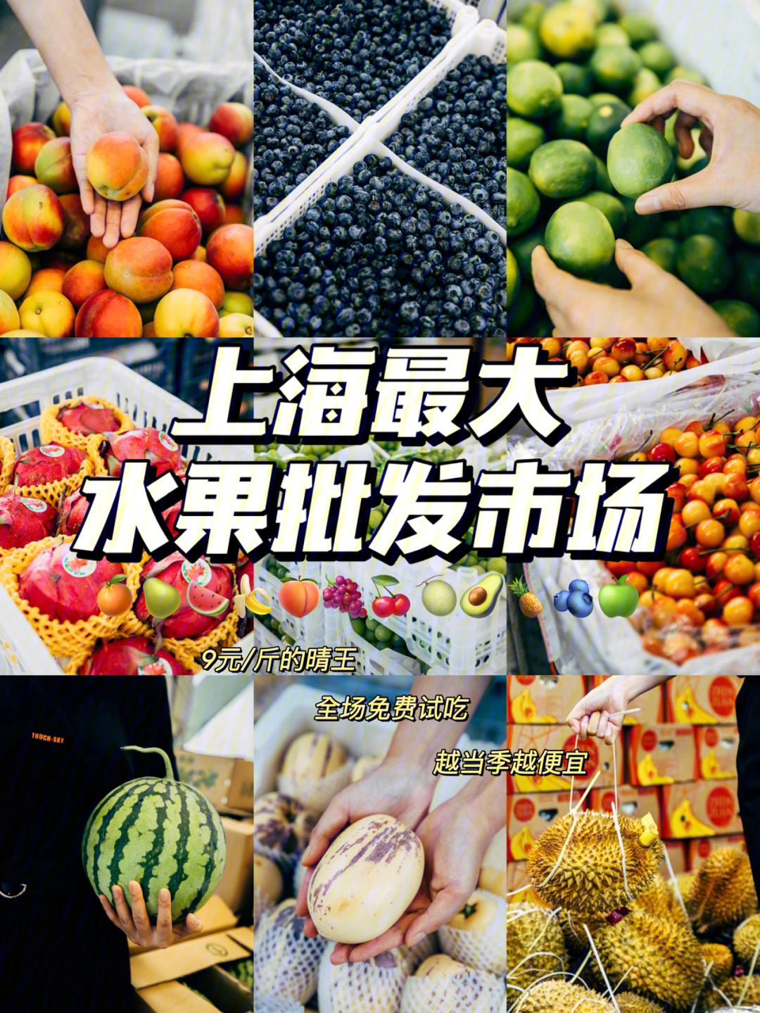 上海最大水果批发市场,99晴王909元/斤?