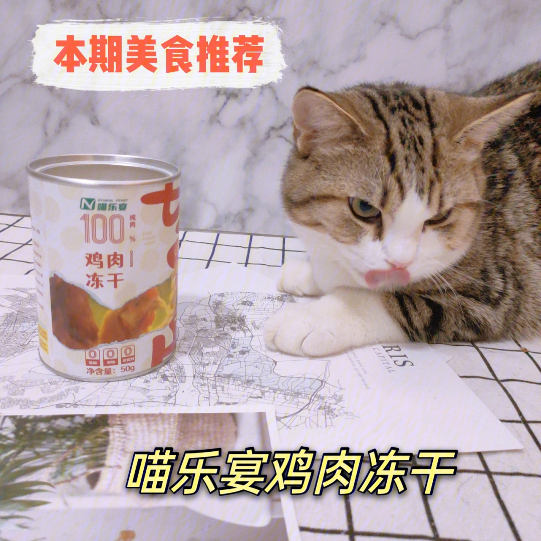 养猫必备零食喵乐宴冻干