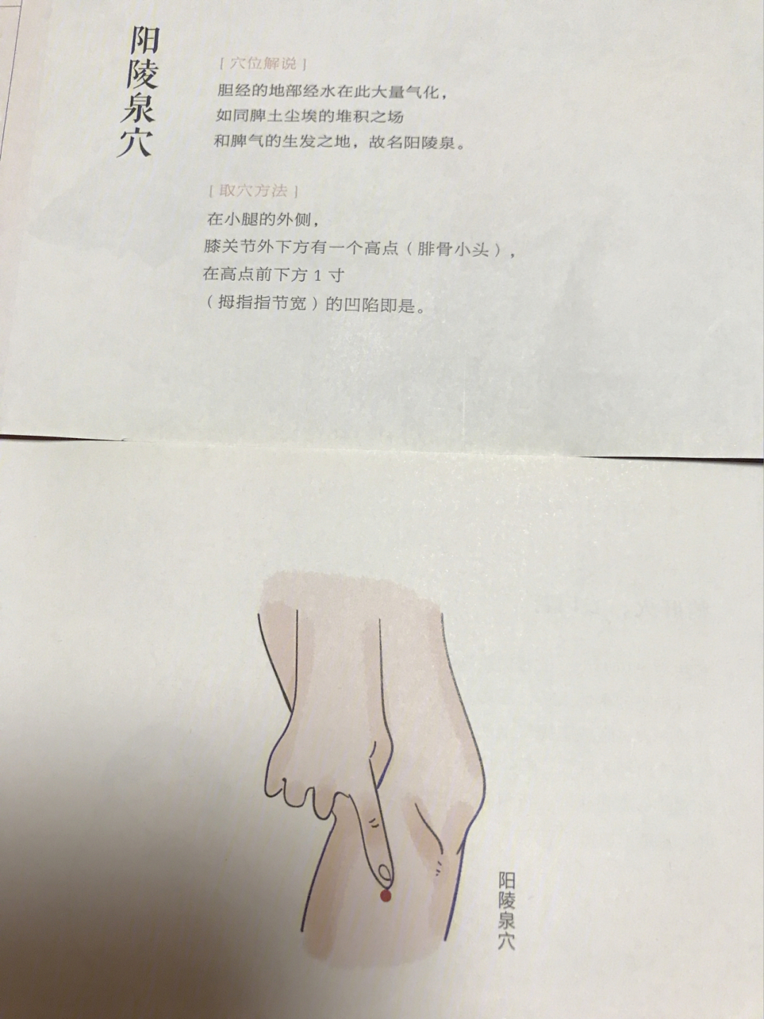 阳陵泉透阴陵泉要领图片