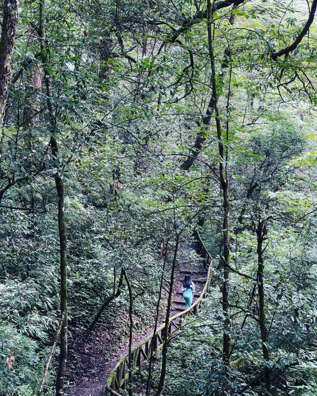 龙苍沟森林公园