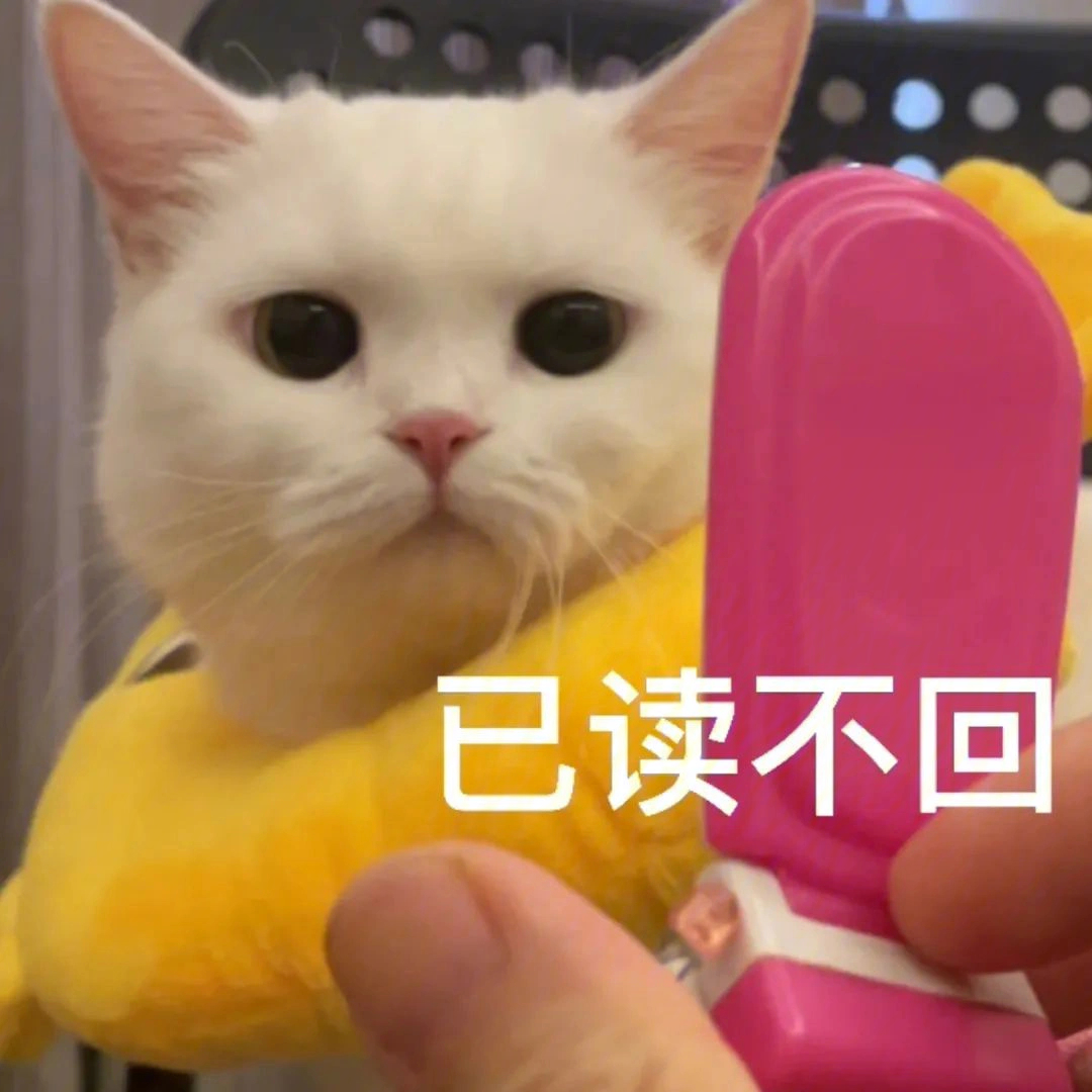 猫猫已读不回表情包图片