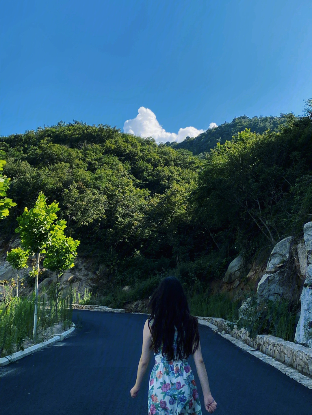 信阳周边游78周末拍照风景美绝61龙袍山