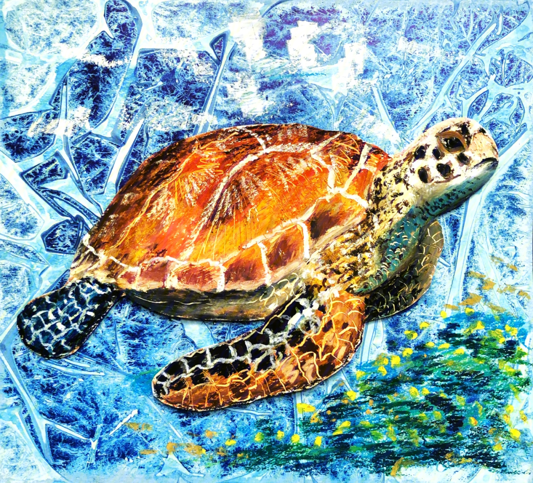 《海龟》重彩油画棒 附简单步骤图和学生作品