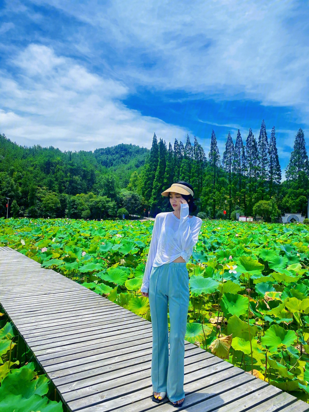 龙游天池荷花夏日拍照好去处