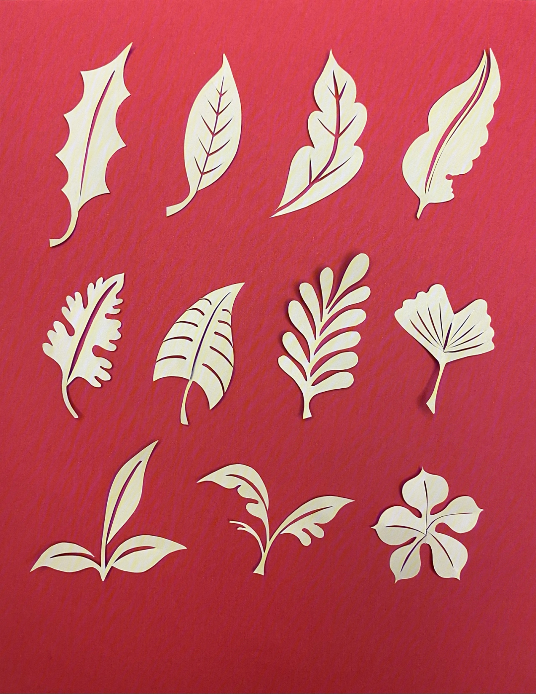 各种各样树叶剪纸剪法图片