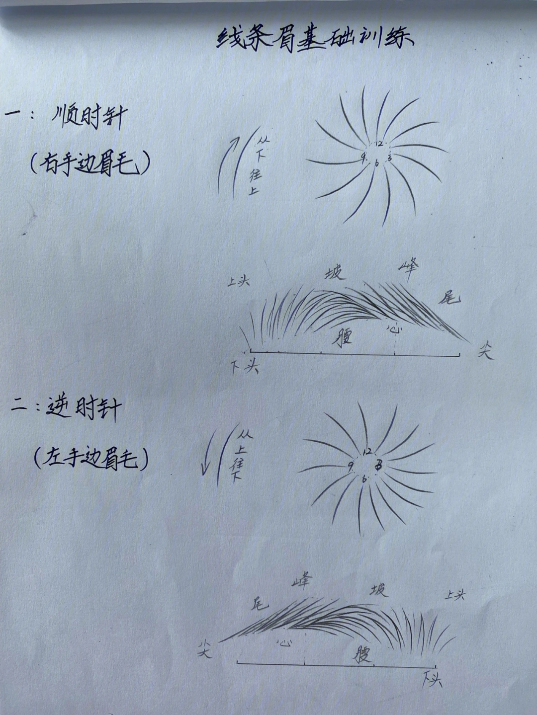 纹绣入门基本功图片