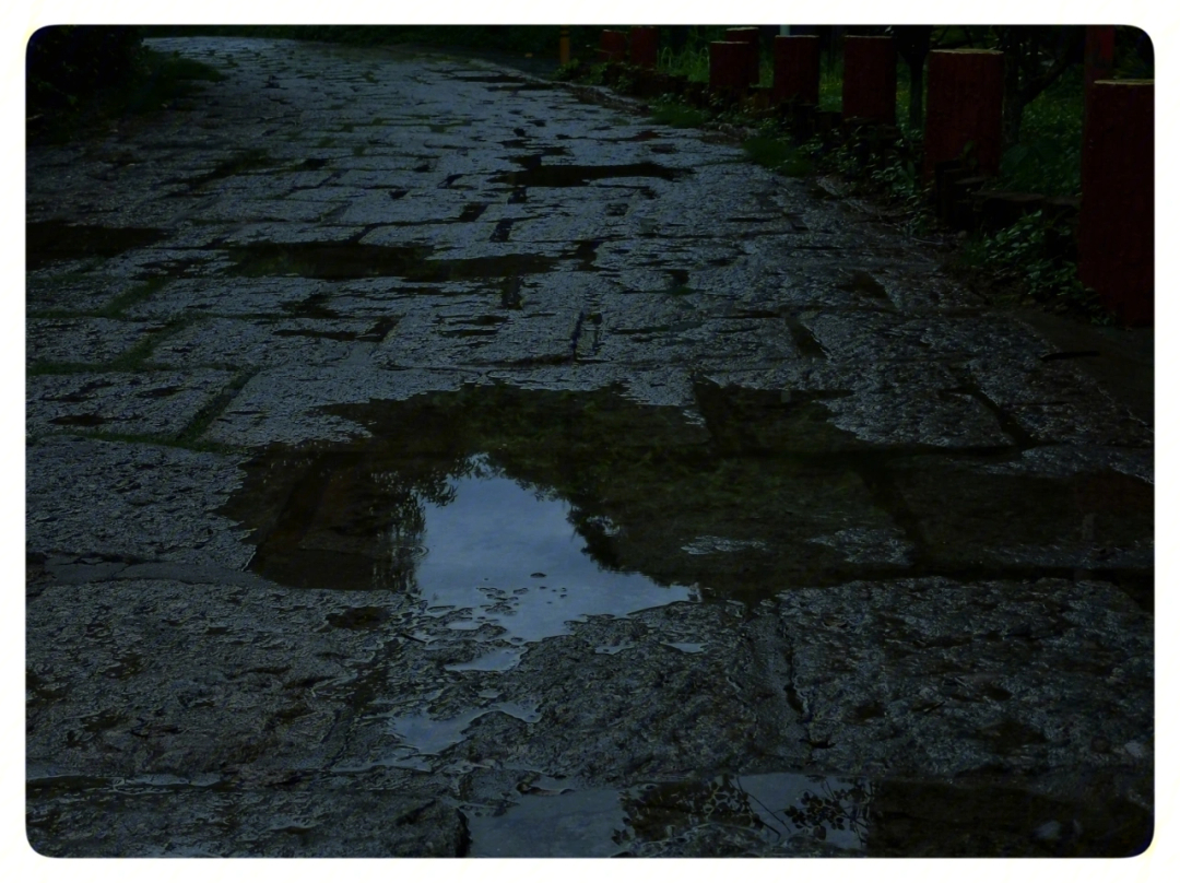 阴雨寡照图片