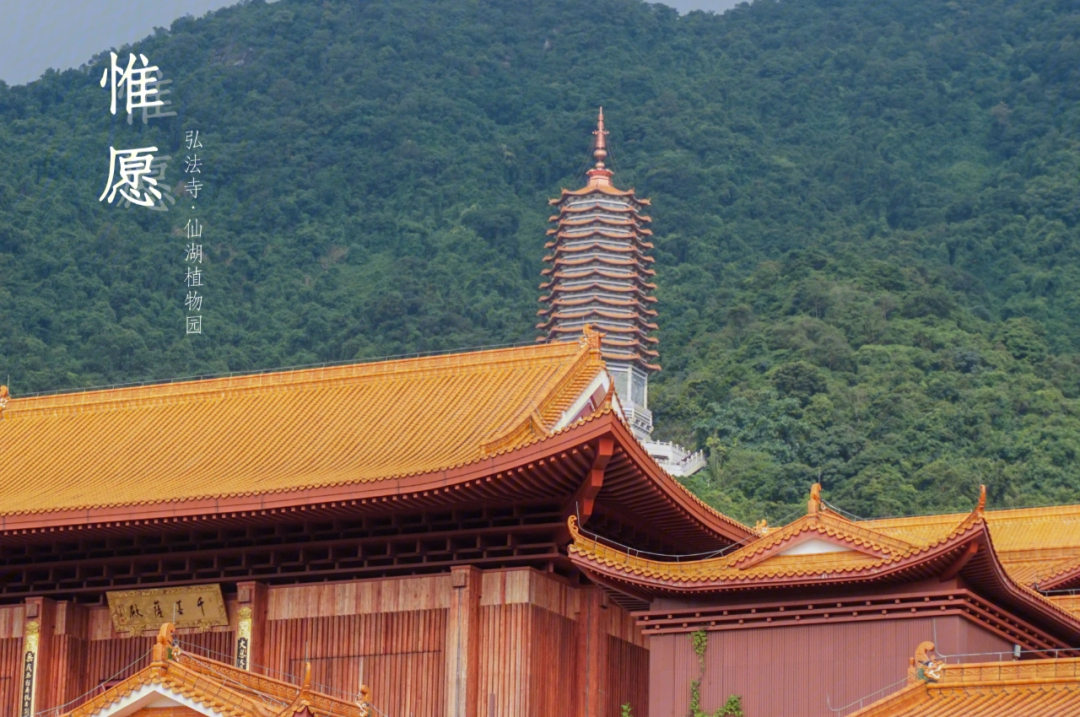 深圳仙湖植物园之弘法寺