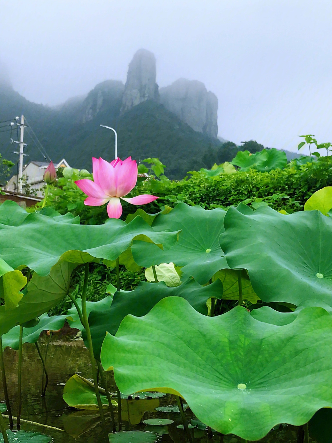 大溪方山村的世外桃源