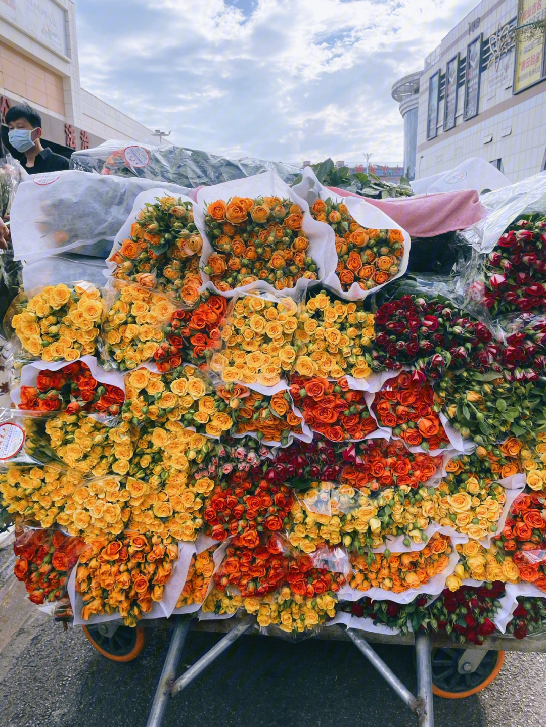仙林花卉市场图片