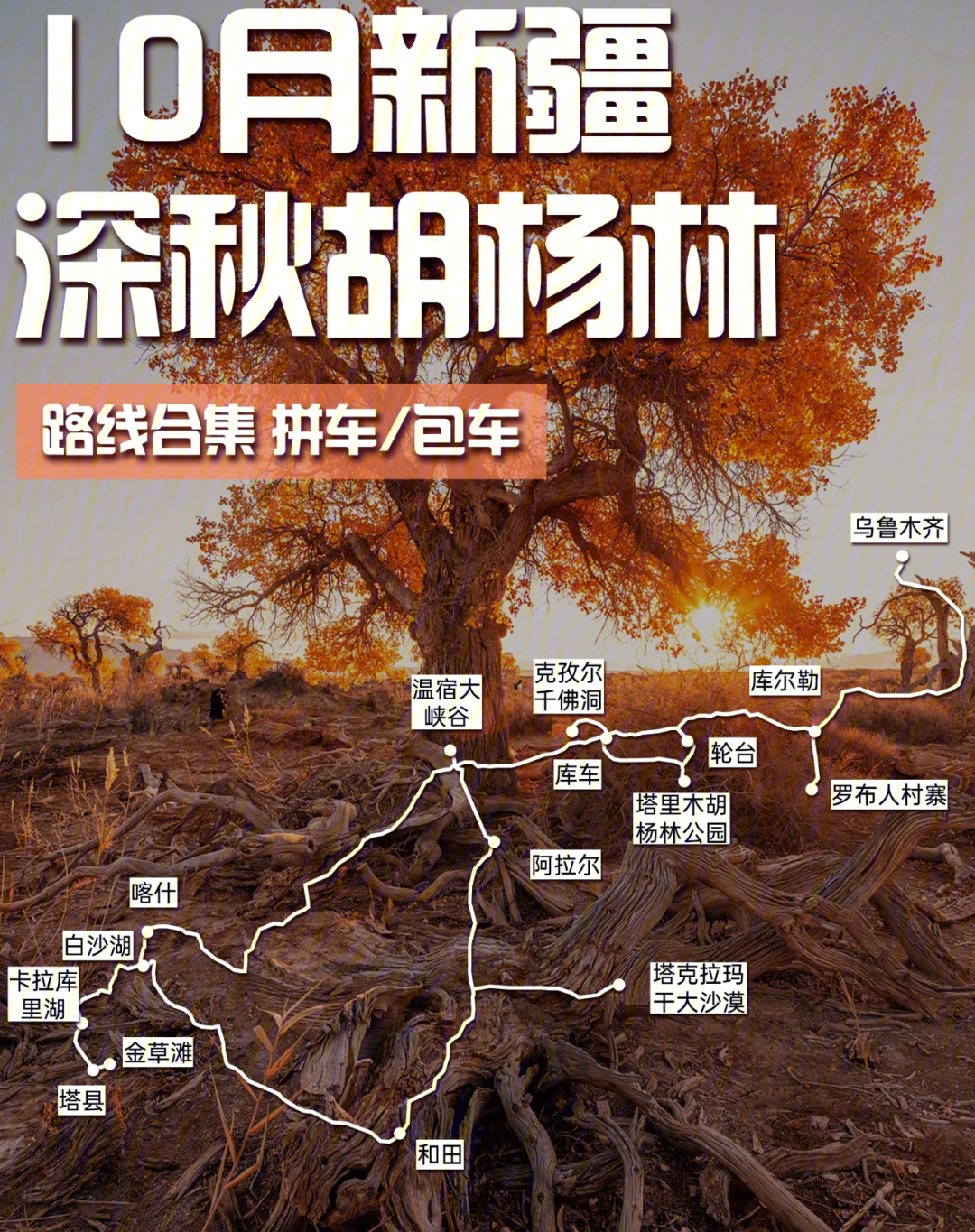 去新疆胡杨林旅游路线图片