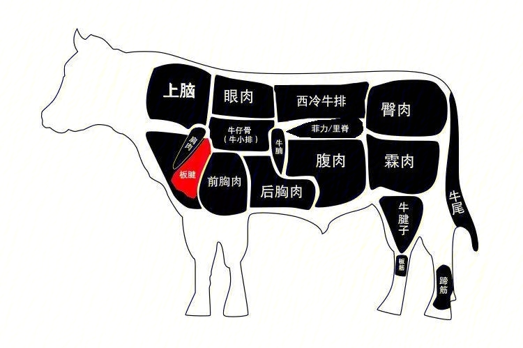 牛排的部位图解与吃法图片