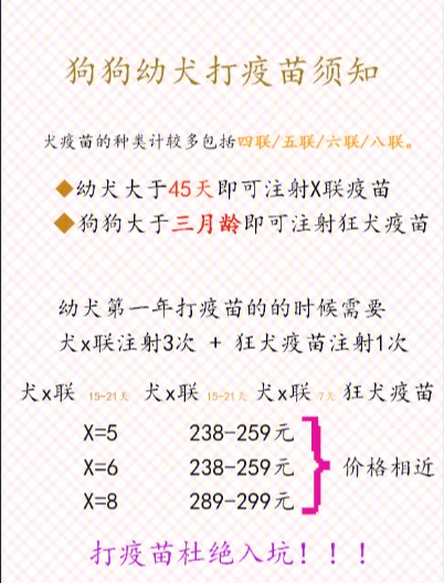 宠物疫苗本10个约定图片