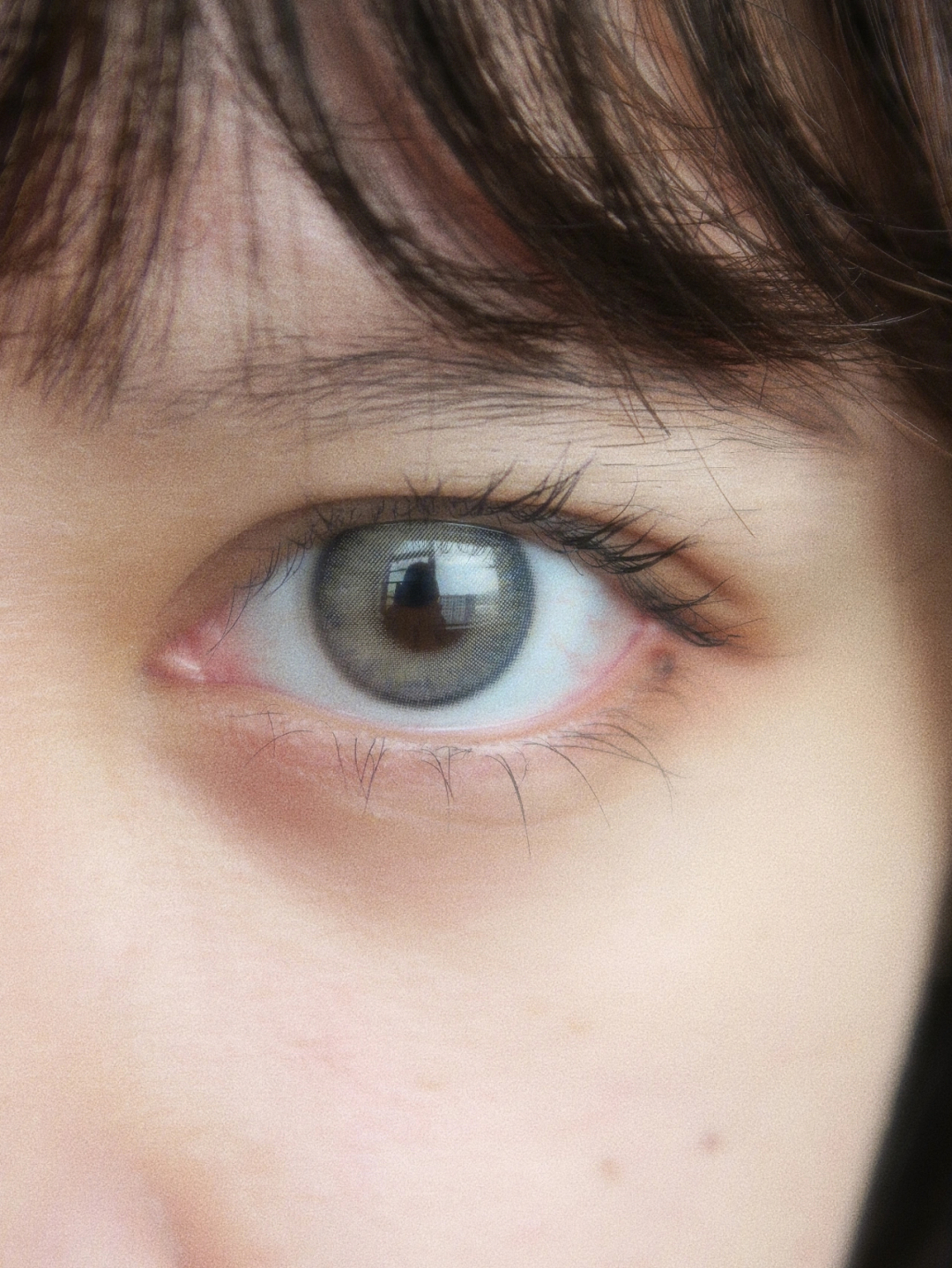 蓝灰色眼睛混血儿图片