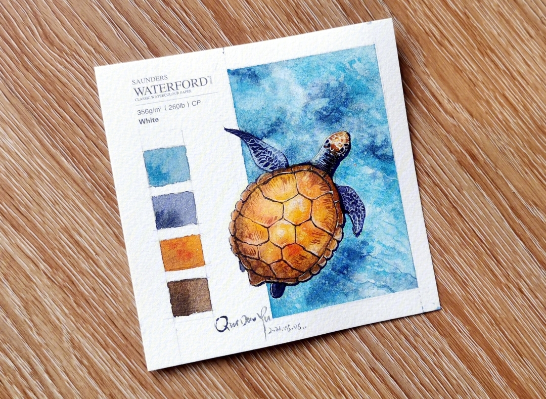 水彩插画海洋主题系列海龟