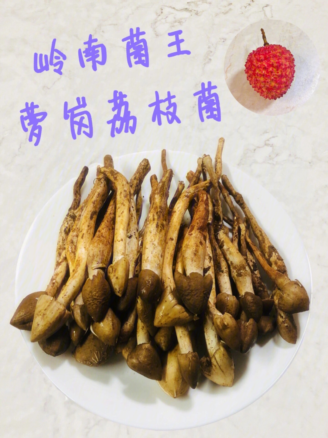 岭南菌王荔枝菌