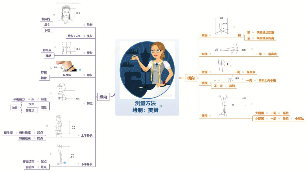 三围怎么量图片