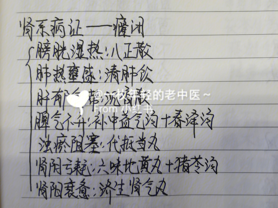 今日复习中内2个癃闭淋证方剂7个温胆汤三子养亲汤苓甘五味姜辛汤小