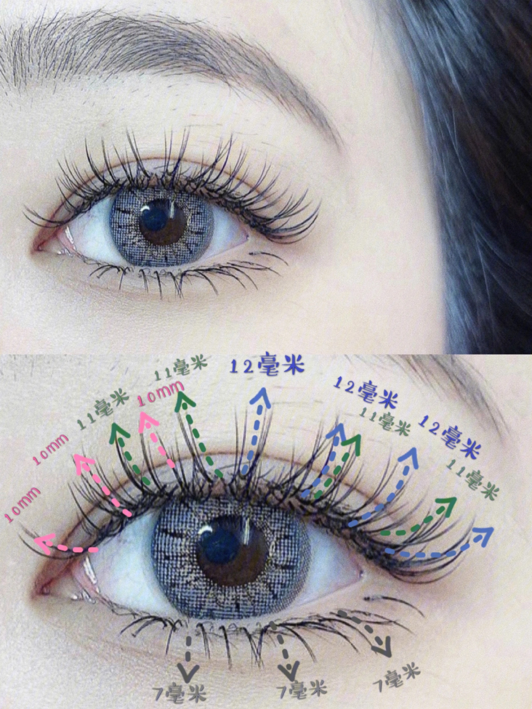 睫毛翘度bjc区别示意图图片