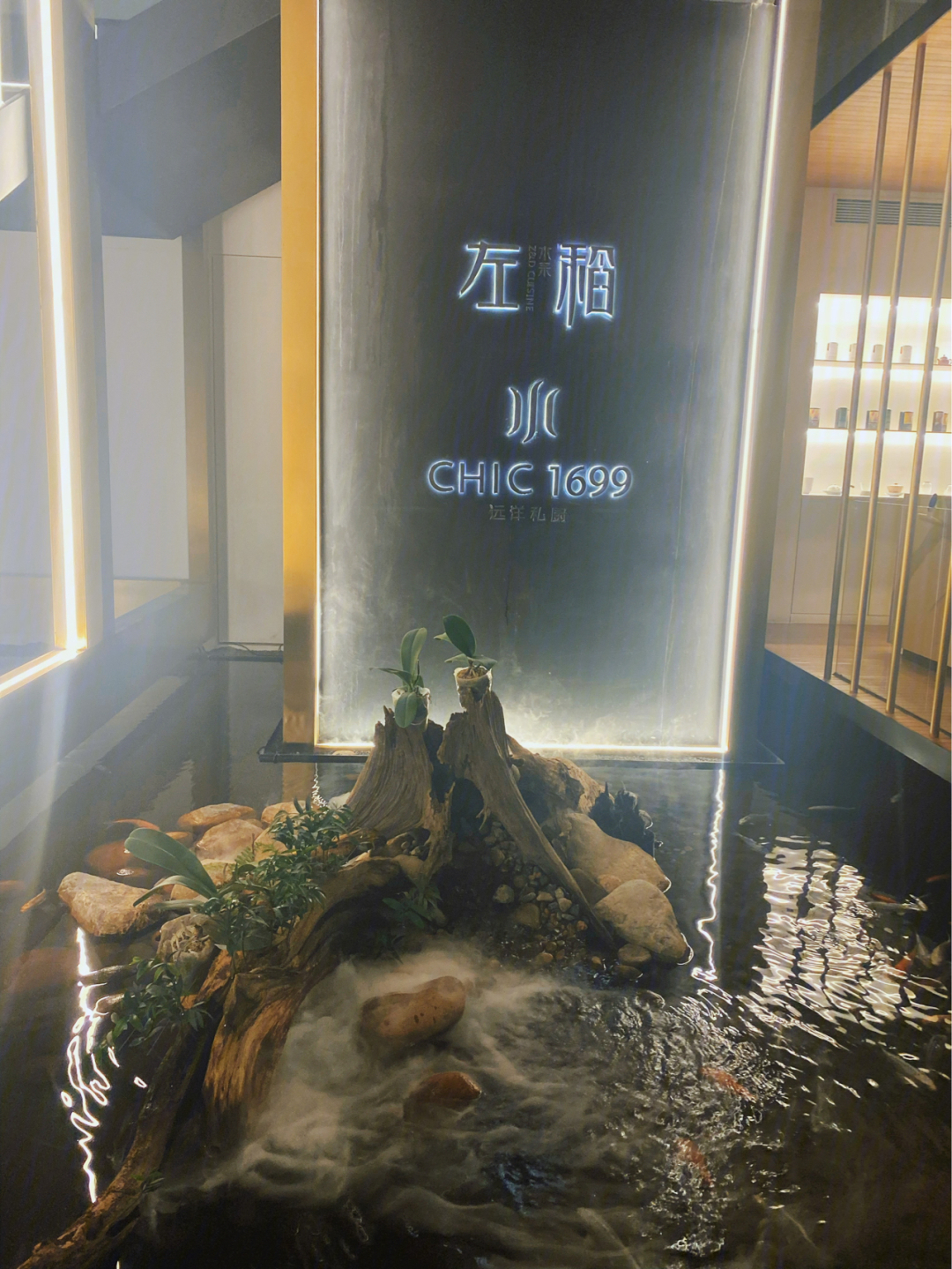 泉州黑珍珠餐厅图片