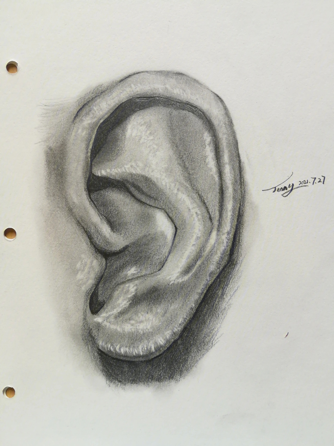 耳朵素描 简单图片