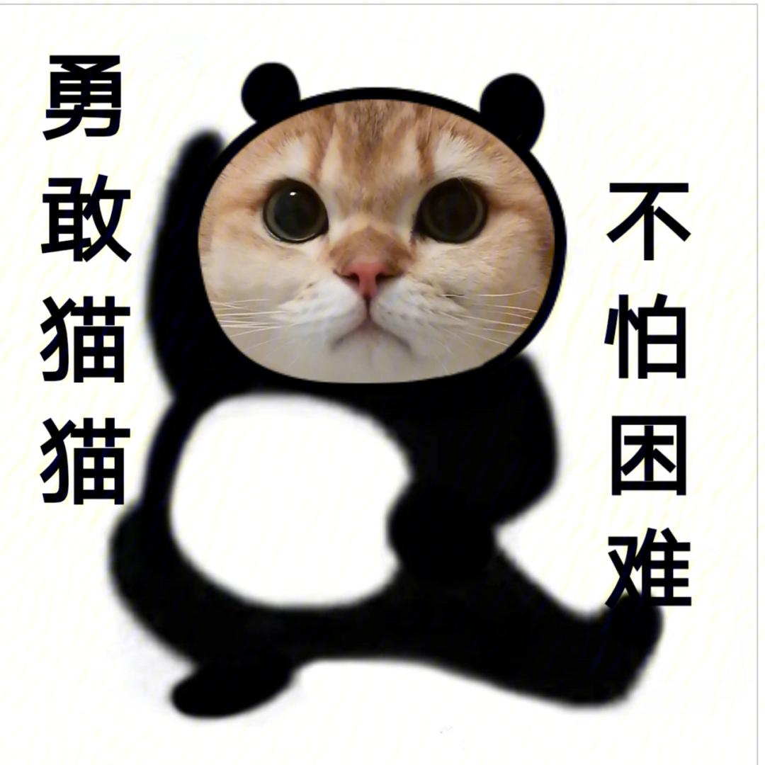 勇敢猫猫表情包图片