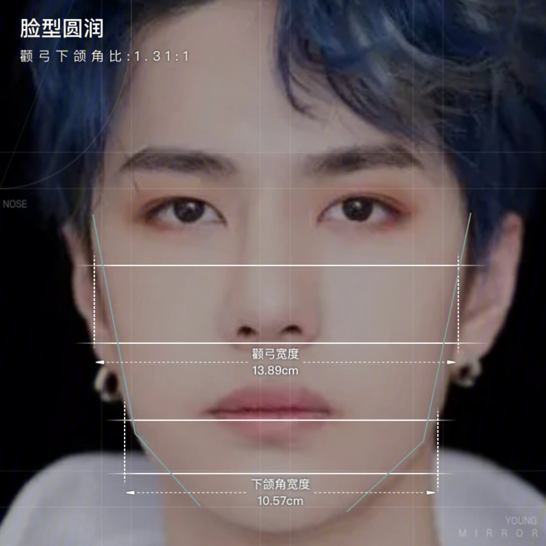 男明星脸型分析图片