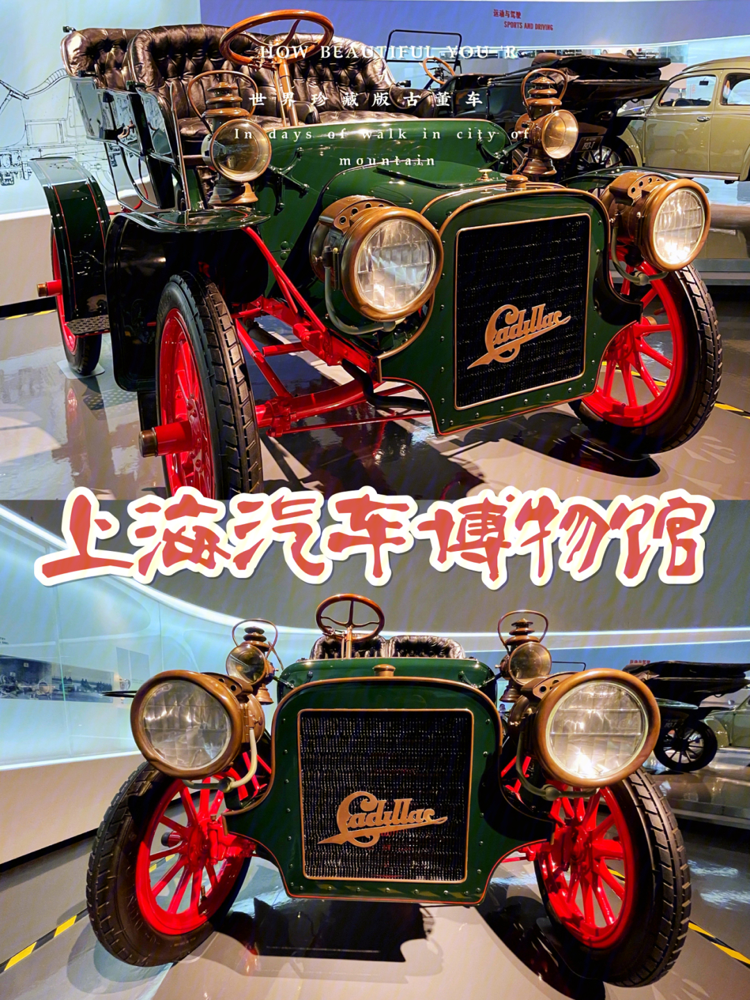 上海汽车博物馆好玩吗_河南博物馆主馆开放了_荷兰人体博物 馆
