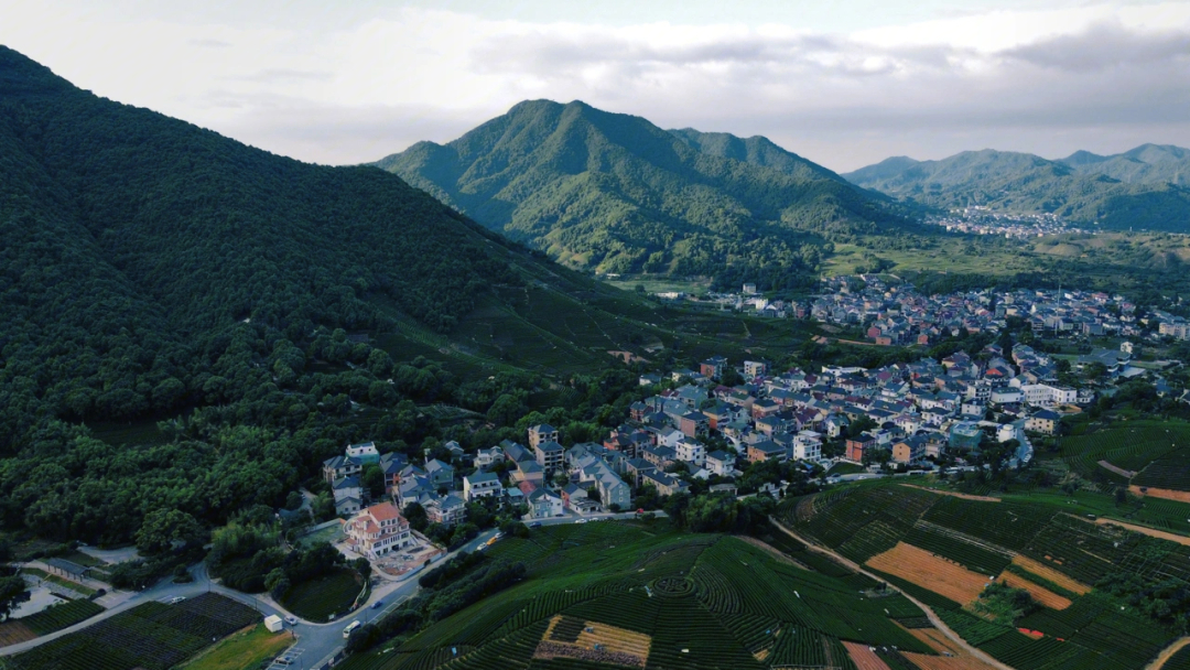 杭州x龙坞茶村航拍