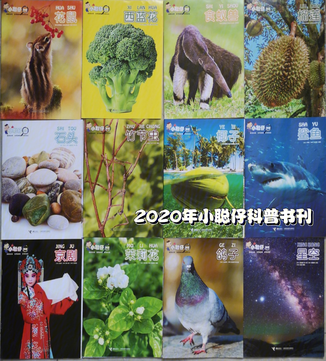 小聪仔宝藏科普书刊