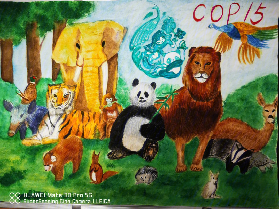 生物多样性保护绘画
